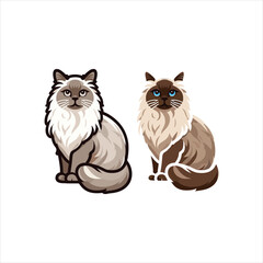 Explore Ragdoll cats in various charming poses. Our high-quality illustrations capture their grace and charm. Perfect for pet-related designs.