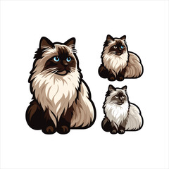 Explore Ragdoll cats in various charming poses. Our high-quality illustrations capture their grace and charm. Perfect for pet-related designs.