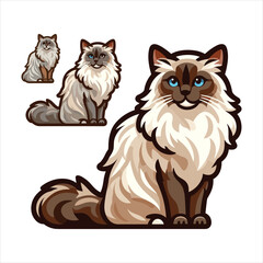Explore Ragdoll cats in various charming poses. Our high-quality illustrations capture their grace and charm. Perfect for pet-related designs.