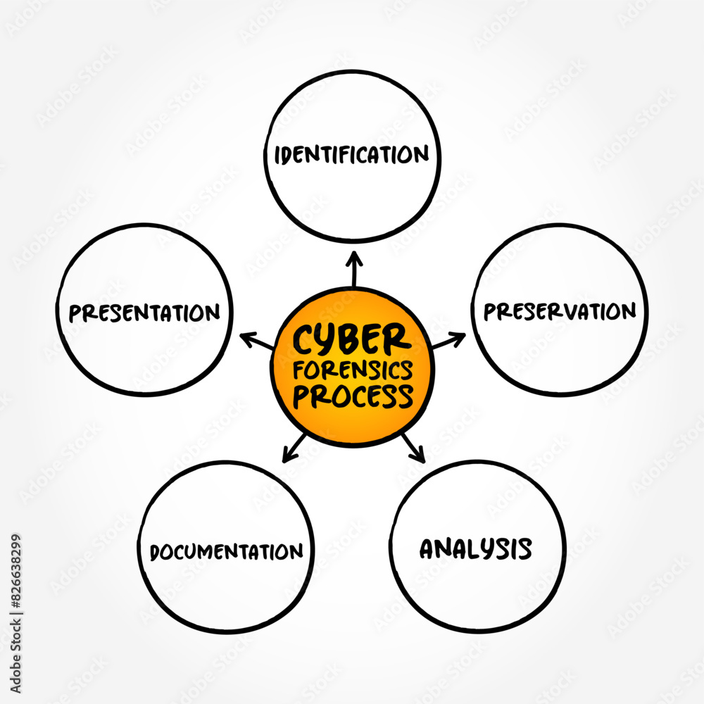 Poster stages of the cyber forensics process - sub-branch of digital forensics relating to the monitoring a