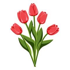 Tyul'pan. Buket iz pyati tyul'panov. Mnogoletniy tsvetok. Vesna leto. Stebli shirokolistnyye. Krupnyy plan. Belyy fon. Ispol'zuyetsya dlya kollazhey i nakleyek v veb-dizayne, dlya otkrytok i pozdravle