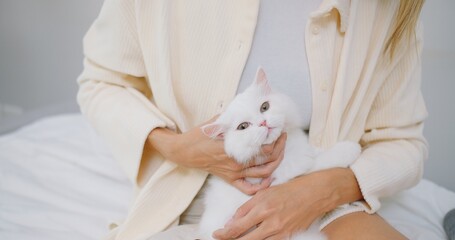 A woman is holding a white cat in her arms and petting while sitting on couch in living room, owner...