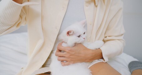 A woman is holding a white cat in her arms and petting while sitting on couch in living room, owner...