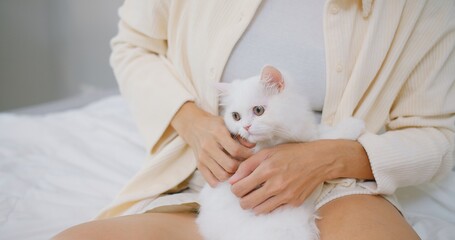 A woman is holding a white cat in her arms and petting while sitting on couch in living room, owner...