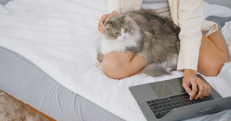 A woman is sitting on a bed with a laptop and a white cat. She is typing on the laptop while...