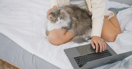 A woman is sitting on a bed with a laptop and a white cat. She is typing on the laptop while...