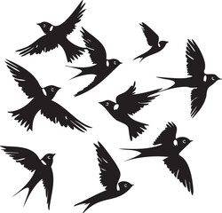 Silhouettes of birds swallow on white background	

