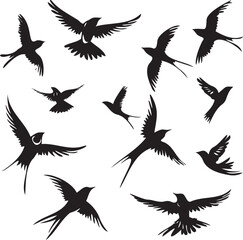 Silhouettes of birds swallow on white background	
