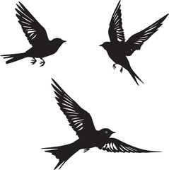 Silhouettes of birds swallow on white background	
