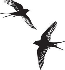 Silhouettes of birds swallow on white background	
