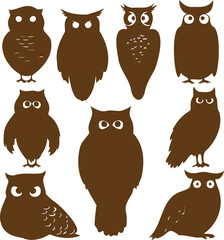 Owl Vector set on White Background