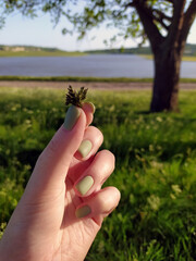 Blade of Grass in the Hand