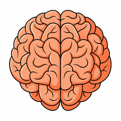 A cartoon illustration of a human brain on a plain white background