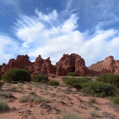 Fototapeta premium Desert landscape of northwestern Argentina