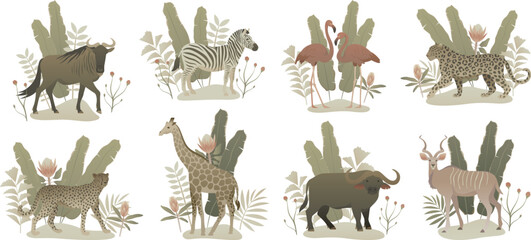 Wild animal composition set. Exotic animals with nature elements. Vector illustration isolated on white background. African elegant wildlife.