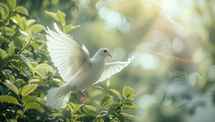 Majestic Dove Flying Through Sunlit Forest