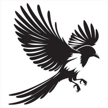 recommend clip art: Magpie bird black & white silhouette Vector on white background