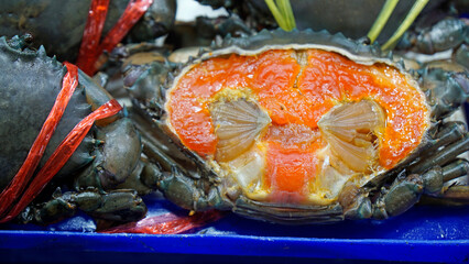 fresh seafood on a market in pattaya