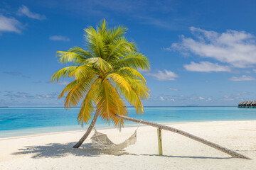 Tropical summer landscape. Paradise island beach background. Sunny idyllic beach swing hammock  on palm tree, white sand, calm blue sea. Perfect beachfront scene. Summertime inspire vacation tourism