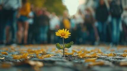 A small yellow flower is growing in the middle of a sidewalk. The sidewalk is covered in leaves and debris, and there are several people walking by. Concept of resilience and hope - Powered by Adobe
