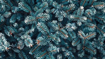 A close up of a tree with many branches and leaves