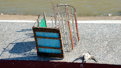 Caged birds for release as a way to make merit at a Buddhist holiday in Phnom Penh, Cambodia