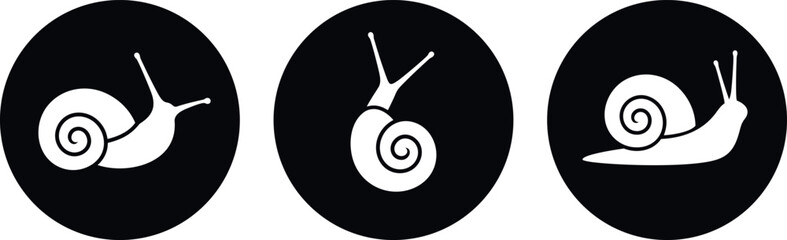 Grape snail logo. Isolated grape snail on white background © oleg7799