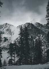 misty snowy mountains