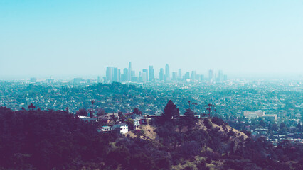 City of Los Angeles at a distance with hillside in the foreground