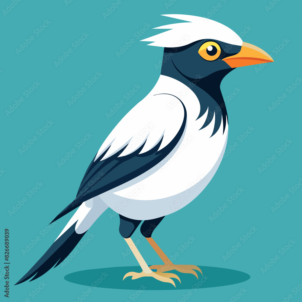 Canvas Prints bali myna vector silhouette illustration