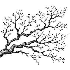 Obraz premium Tree brach vector silhouette on a white background 