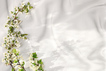 Elegant background with blossoming cherry branches with place for text, template for design,...