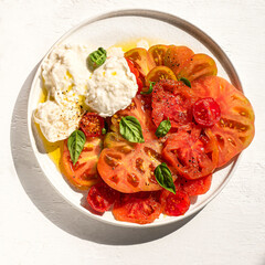  Mozzarella Bufala, Cherry and Ox's Heart tomatoes and basil. Italian Southern Ingredients for summer recipes, Mediterranean diet, farmers  healthy food. White background, sunlight, square crop
