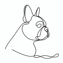 vector image white background corgi lineart
