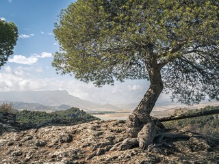 Southern Spanish, Andalusian landscape during the summer in the Cerro de la Higuera National Park,...