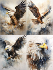 the eagle featured in the watercolor artwork,