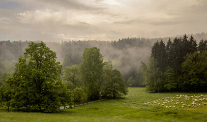 Panorama Landscape in Vogtland, Saxony with fog and rain in the morning