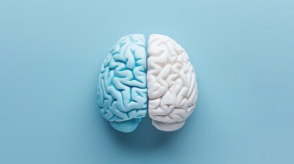 Blue and white brain split in half on blue background