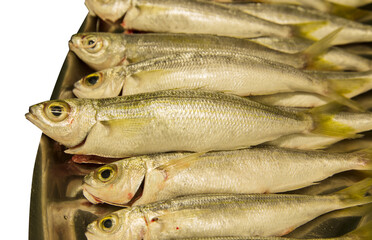 top view - fresh fish boops