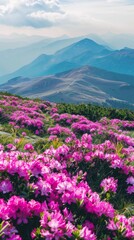 Obraz premium A beautiful mountain landscape with a field of pink flowers
