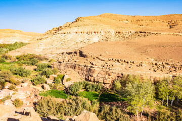 View of green oasis with trees in mountain valley near Tinghir town, Morocco, North Africa