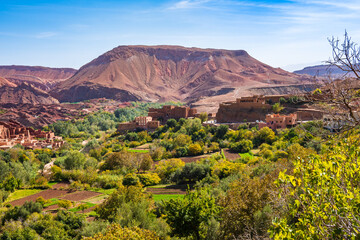 View of green oasis with palm trees in Dades mountain valley, Morocco, North Africa
