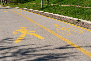 A designated path in a park separates pedestrian and cyclist lanes with clear yellow markings,...