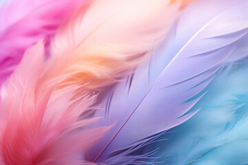 Obraz premium Colorful Feathers Abstract Art, Soft Vibrant Texture 