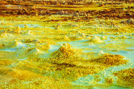 Yellow sulphur fields forms in the volcanic landscape  of Danakil Depression desert, Afar region, Ethiopia