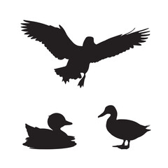 A set of black silhouettes isolated of ducks. Ducks vector illustration. Ducks art work.