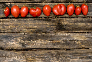tomatoes on the rustic wooden background. red tomatoes on the open air.