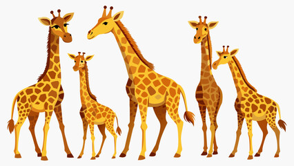 Obraz premium Giraffe Vector Set, In Different Poses Like Sitting And Standing, Collection Of Giraffe , Animal Vector 