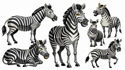 Fototapeta premium Zebra Vector Set, In Different Poses Like Sitting And Standing, Collection Of Zebra , Animal Vector 