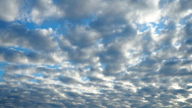 Altocumulus, middle-altitude cloud genus, stratocumuliform physical category, characterized by globular masses or rolls in layers or patches being larger and darker. Airmass instability. Time lapse.